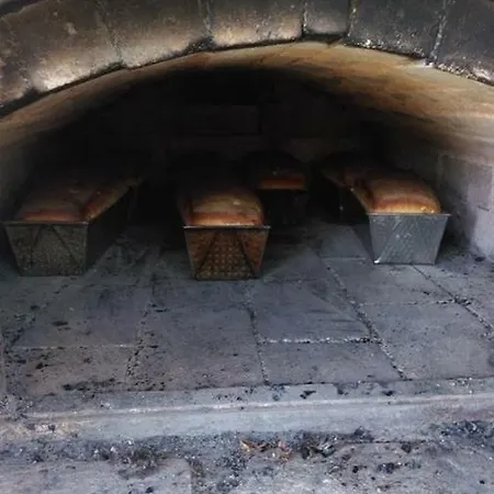 팜스테이 Ogluszka *